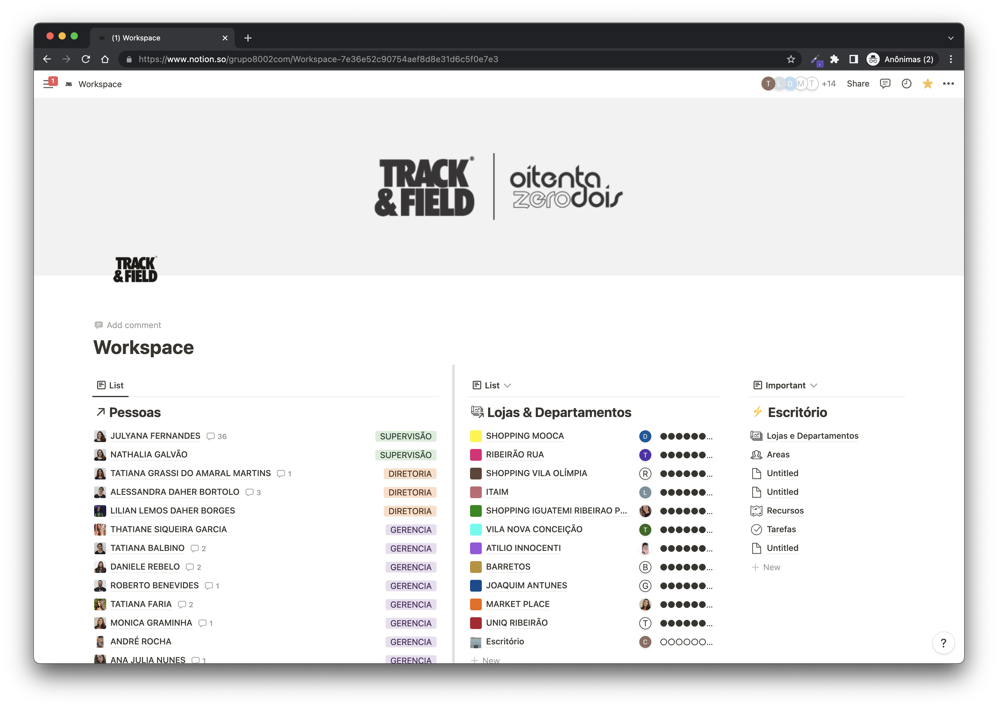 TF 1